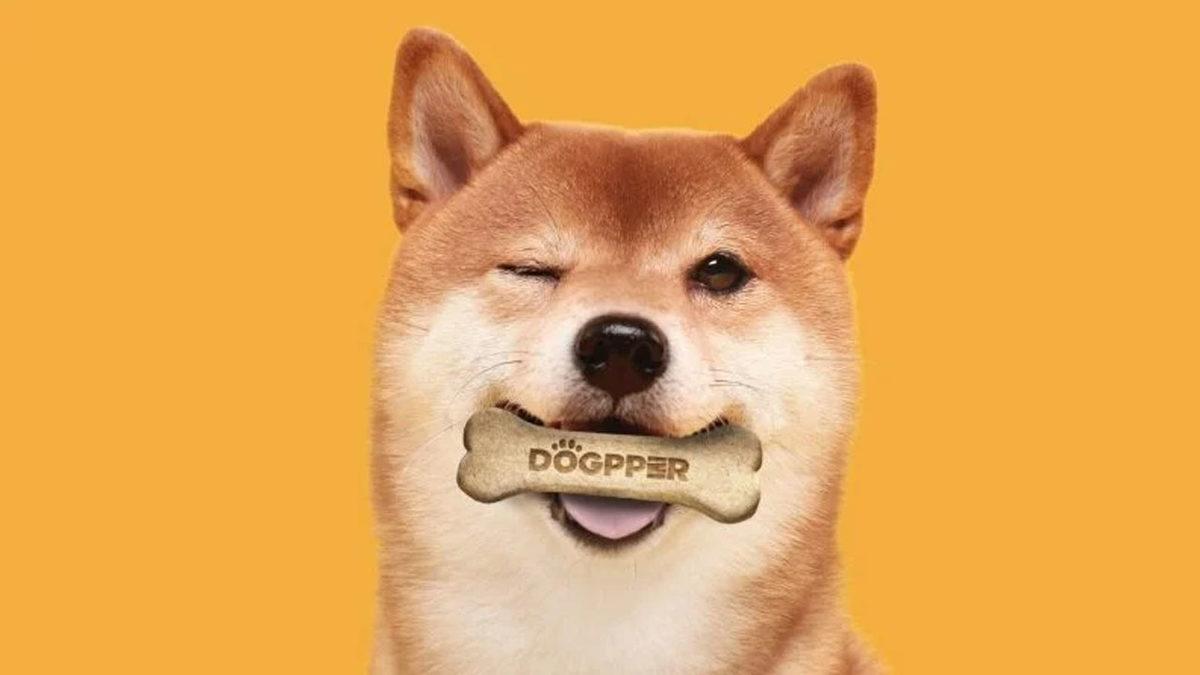 Dogecoin, Brezilya’daki Burger King’lerde Ödeme Yöntemi Oldu
