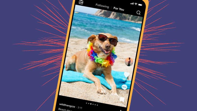 Bu Sefer TikTok, Instagram’a Dönüşüyor: İşte ’Fotoğraf Modu’ Özelliği!