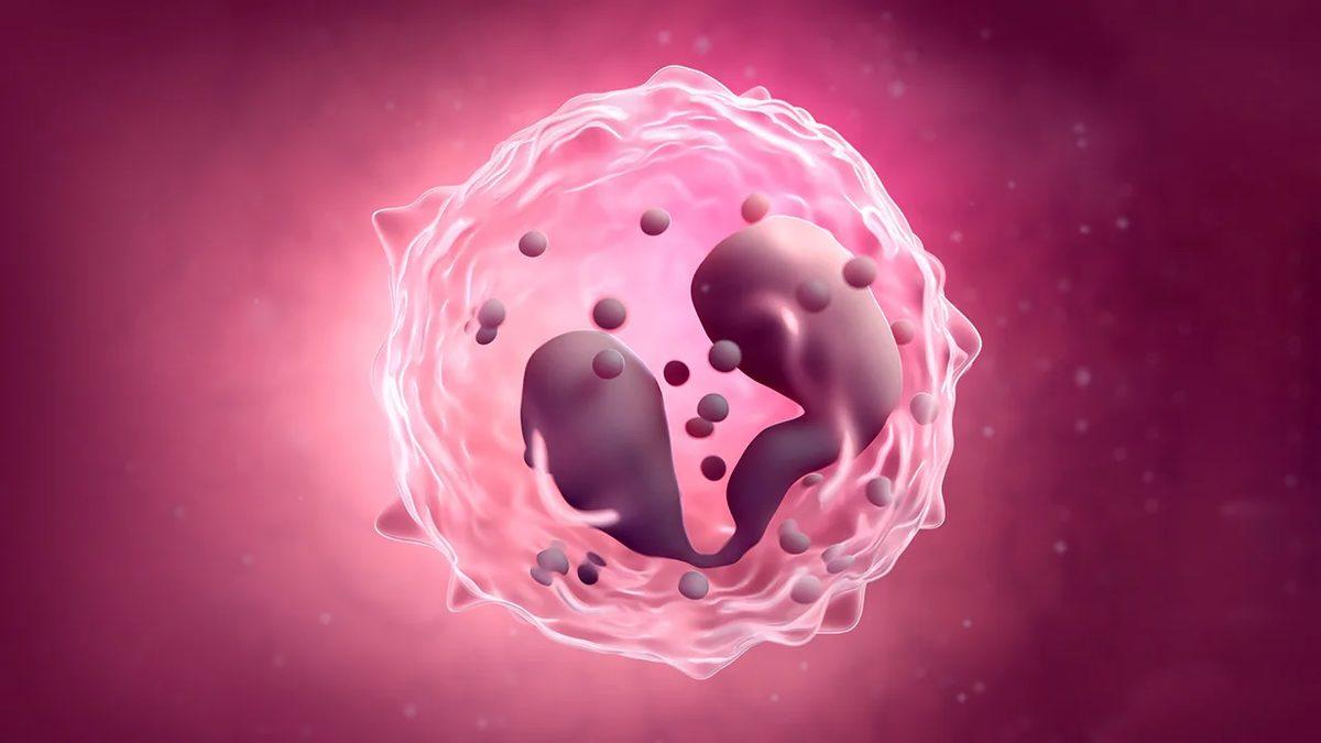 Vücudumuzun Savunma Mekanizması İçin Çok Önemli Olan ’Eozinofil (EOS)’ Nedir, Yüksekliği ve Düşüklüğü Ne Anlama Gelir?