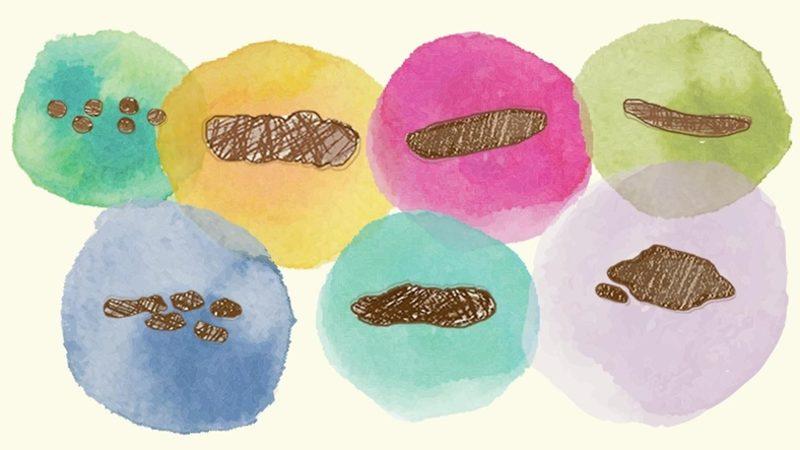 Dışkınızın Rengi ve Şeklinin Sağlığınız Hakkında Söylediği 12 Şey