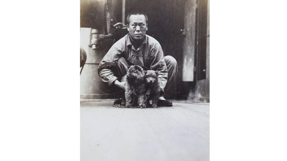 Tarihteki En Eski Köpek Irklarından Biri Olan Çin Aslanlarının Özellikleri Hakkında 9 İlginç Bilgi