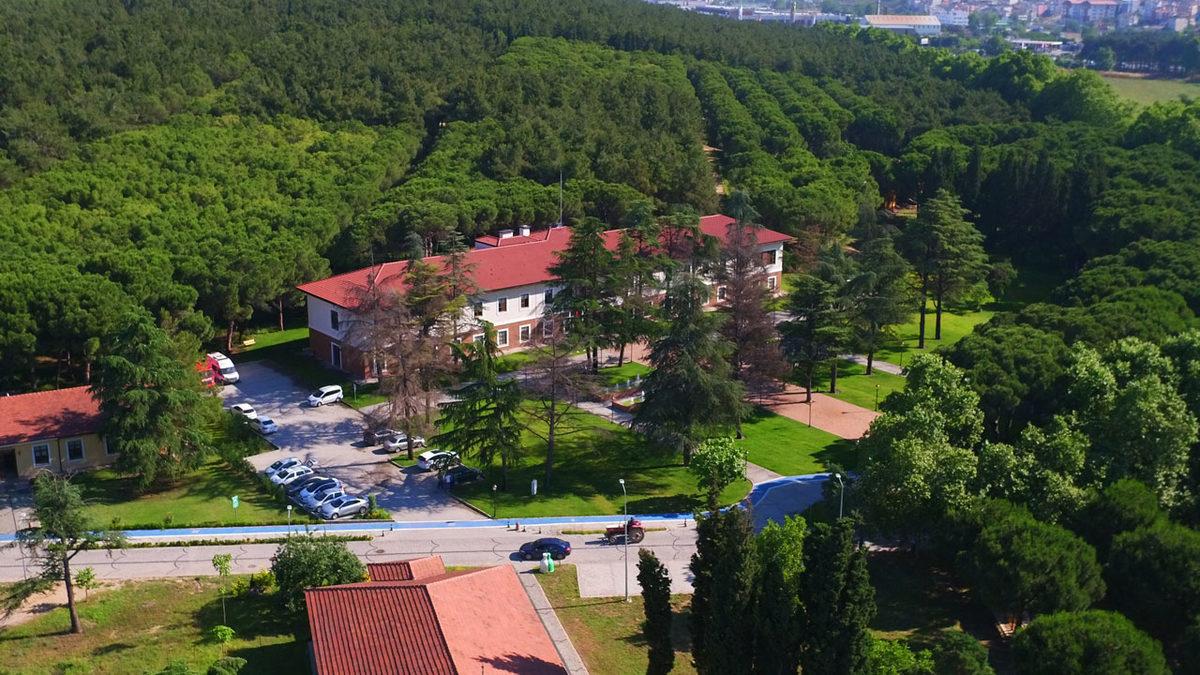 Şimdi Sıra Tercihlerde: İşte Türkiye’nin En İyi Üniversiteleri