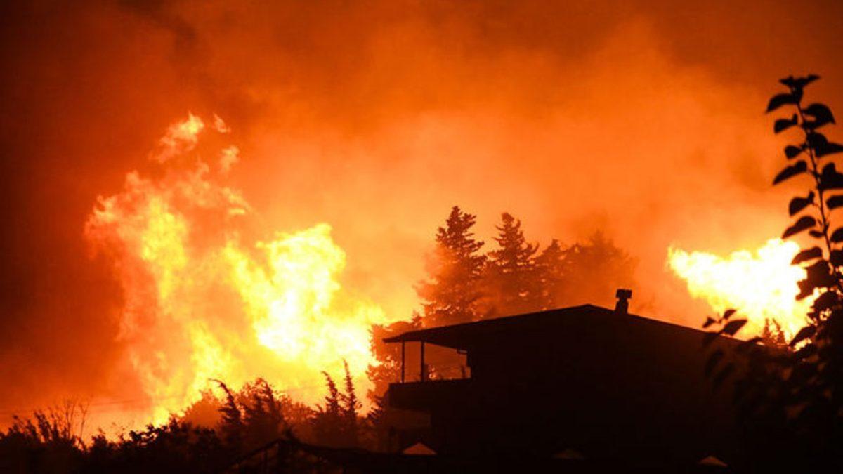 Orman Yangınlarında Son Durum: 63 Yangından 42’si Kontrol Altına Alındı