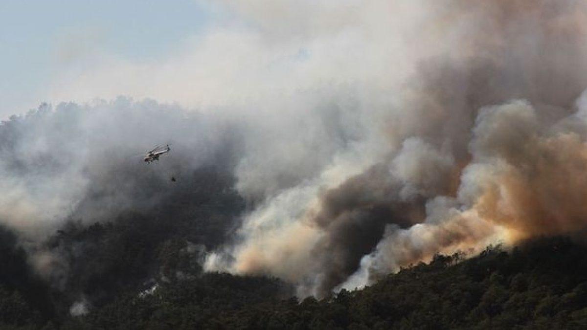 Orman Yangınlarında Son Durum: 63 Yangından 42’si Kontrol Altına Alındı