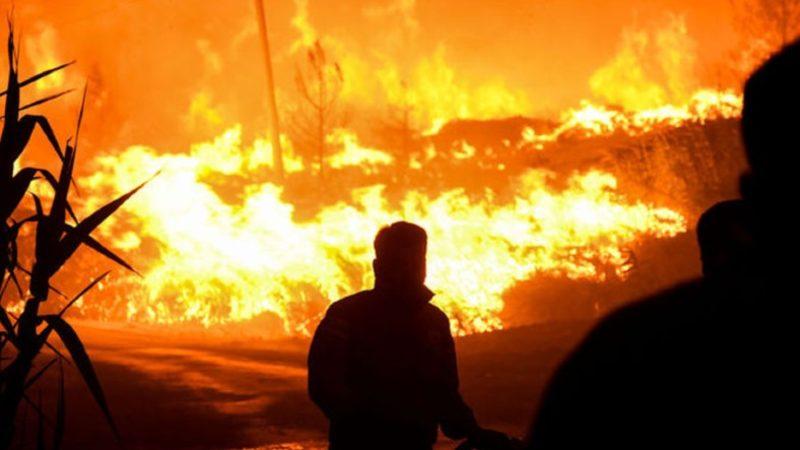 Orman Yangınlarında Son Durum: 63 Yangından 42’si Kontrol Altına Alındı