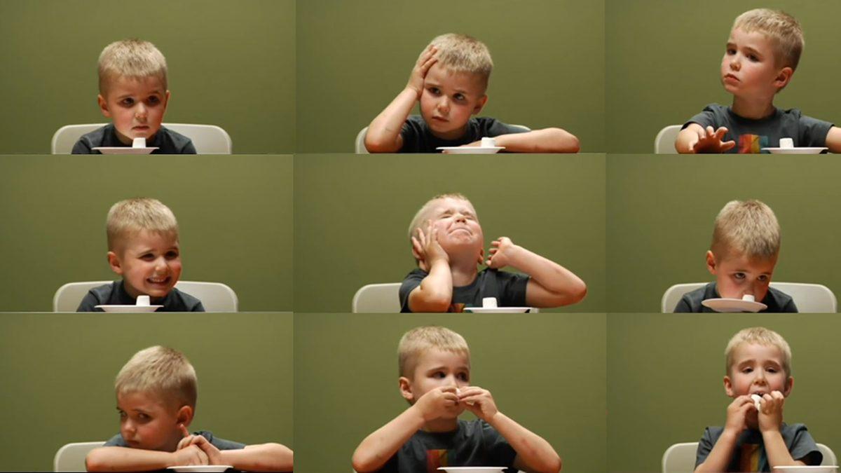 Sadece ’Marshmallow’ Kullanılarak Çocukların Sabrının Sınandığı, Sonuçlarıyla Ters Köşe Yaptıran Psikolojik Deney