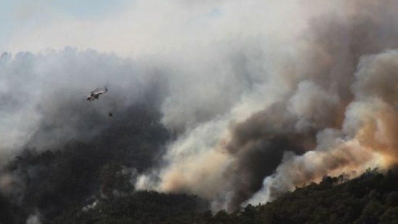 Yangınlara Müdahale İçin Kullanılan Araç ve Personel Sayıları Açıklandı