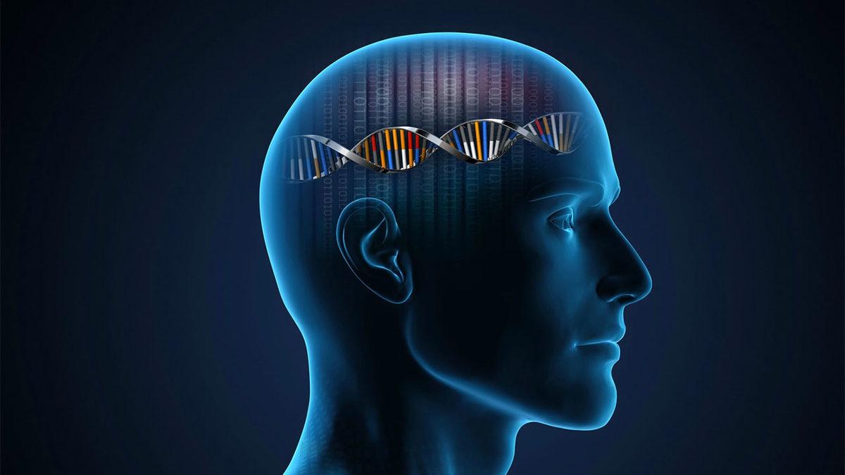 IQ Seviyenizin Hayatınızı Her Bakımdan Etkilediğini Gösteren 10 Çarpıcı Gerçek