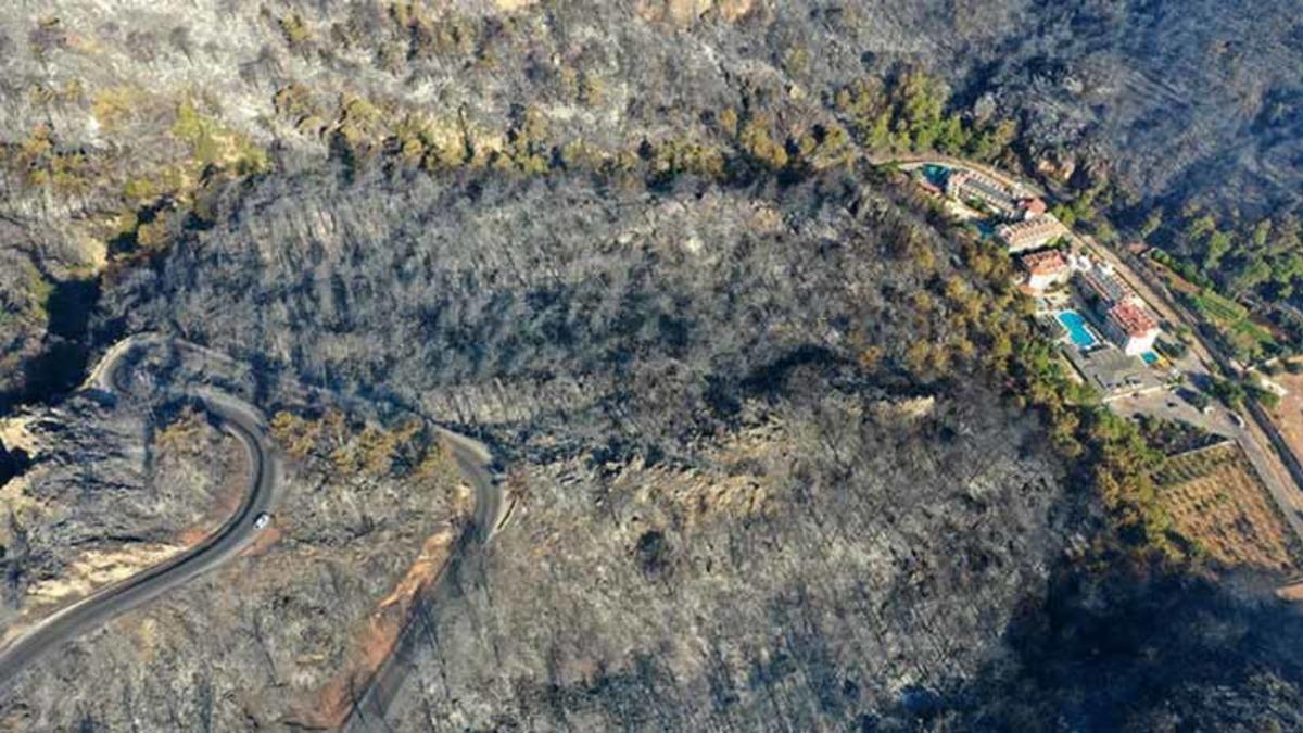 Söyleyecek Söz Bulamıyoruz: Marmaris’teki Yangına, Kitap Yakmak İsteyen İki Çocuğun Neden Olduğu Söyleniyor