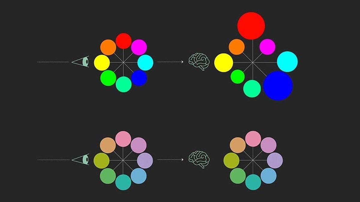 Bilim Dünyasından Kırmızı Renk Hakkında Şaşırtan Araştırma