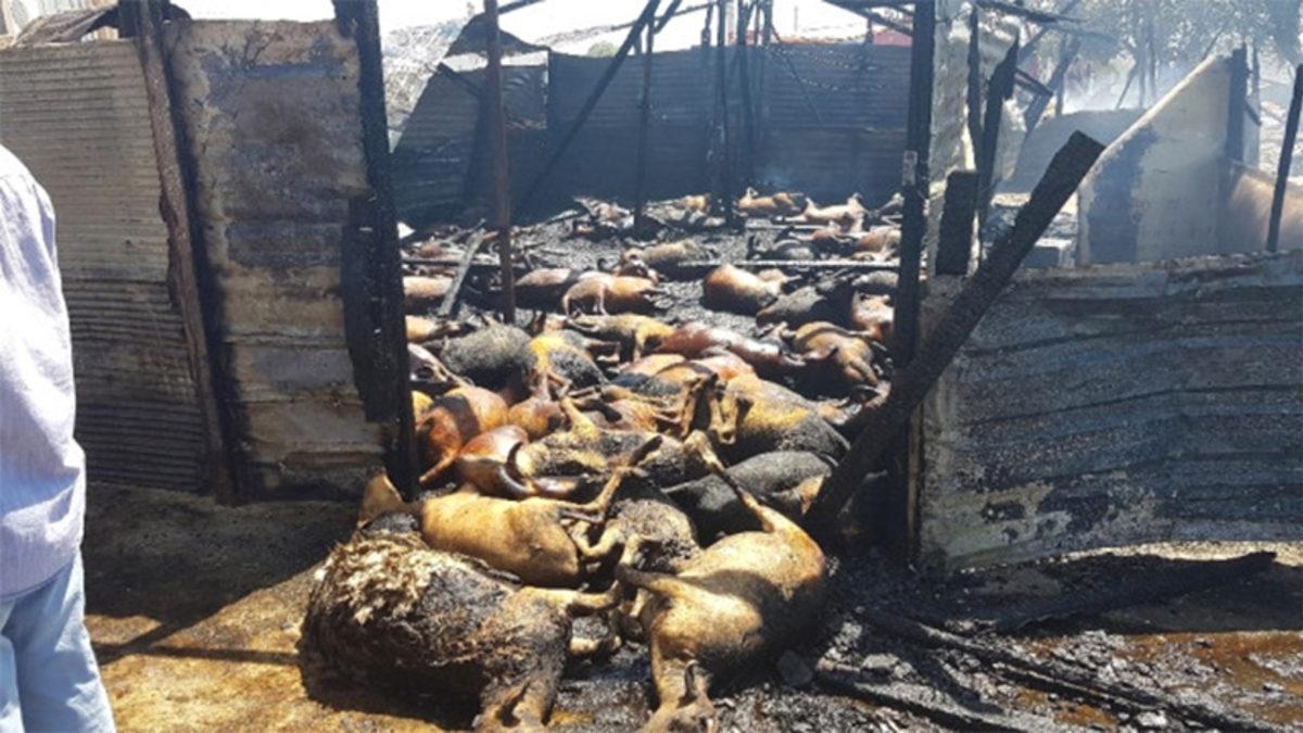 Sosyal Medyada Paylaşılan ’Sahte’ Manavgat Yangını Fotoğrafları Aslında Nerede ve Ne Zaman Çekildi?