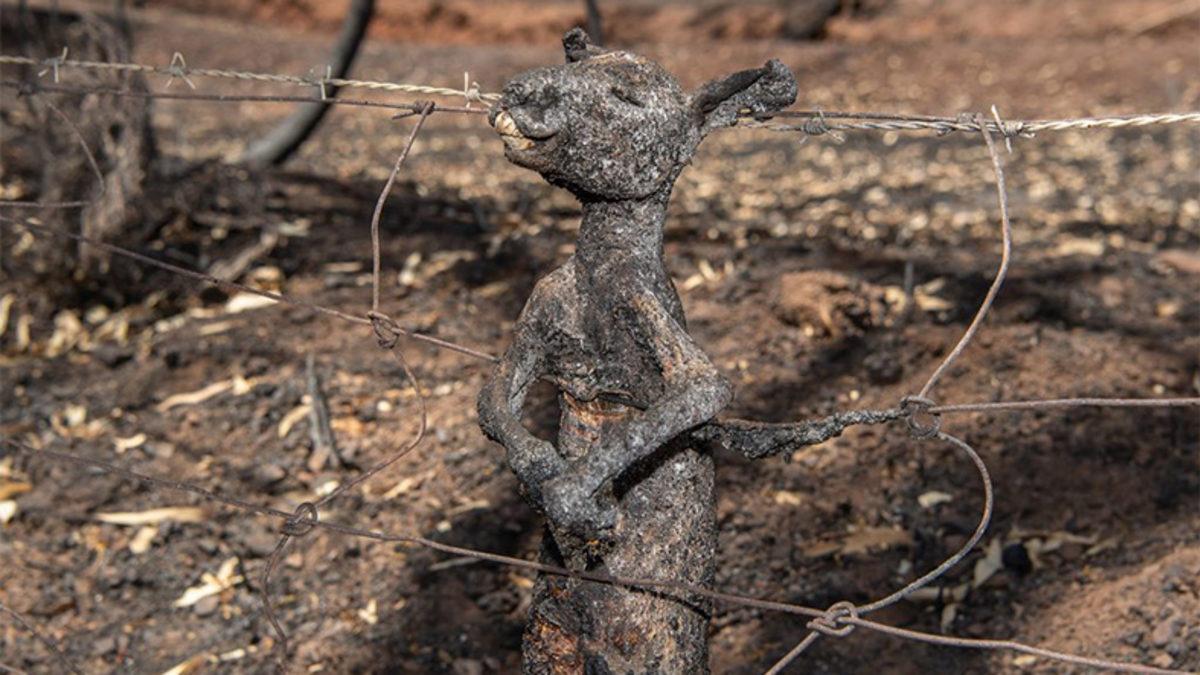 Sosyal Medyada Paylaşılan ’Sahte’ Manavgat Yangını Fotoğrafları Aslında Nerede ve Ne Zaman Çekildi?
