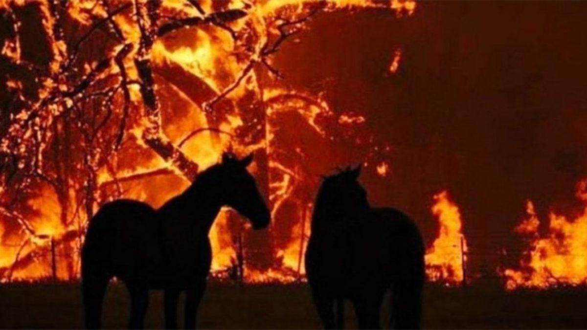 Sosyal Medyada Paylaşılan ’Sahte’ Manavgat Yangını Fotoğrafları Aslında Nerede ve Ne Zaman Çekildi?