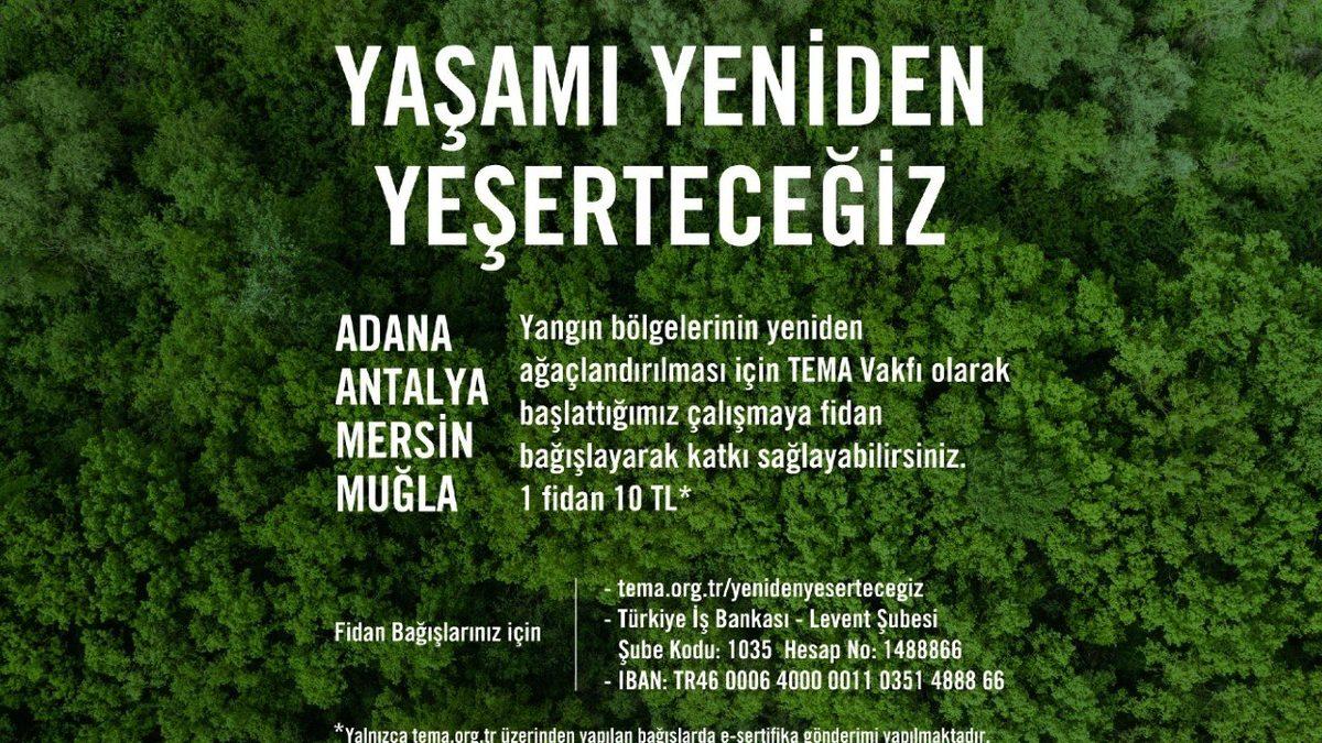 TEMA Vakfı, Orman Yangınları İçin Toplanan Bağışların OGM’ye Aktarılacağını Açıkladı