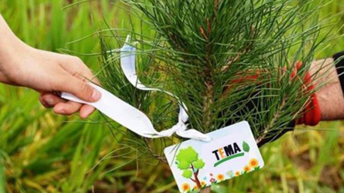 TEMA Vakfı, Orman Yangınları İçin Toplanan Bağışların OGM’ye Aktarılacağını Açıkladı