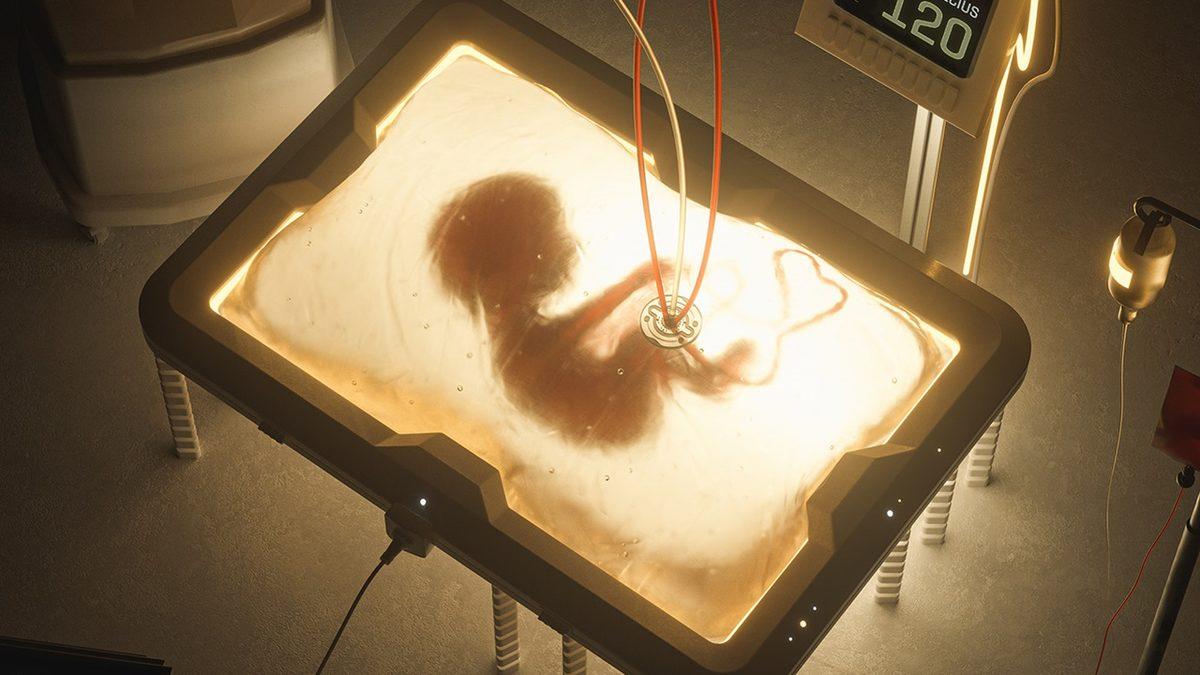 Yapay Rahimlerde Yetiştirilen Bebekler Acı Çektikleri Bir ’Araf’ın İçinde Olabilirler mi?