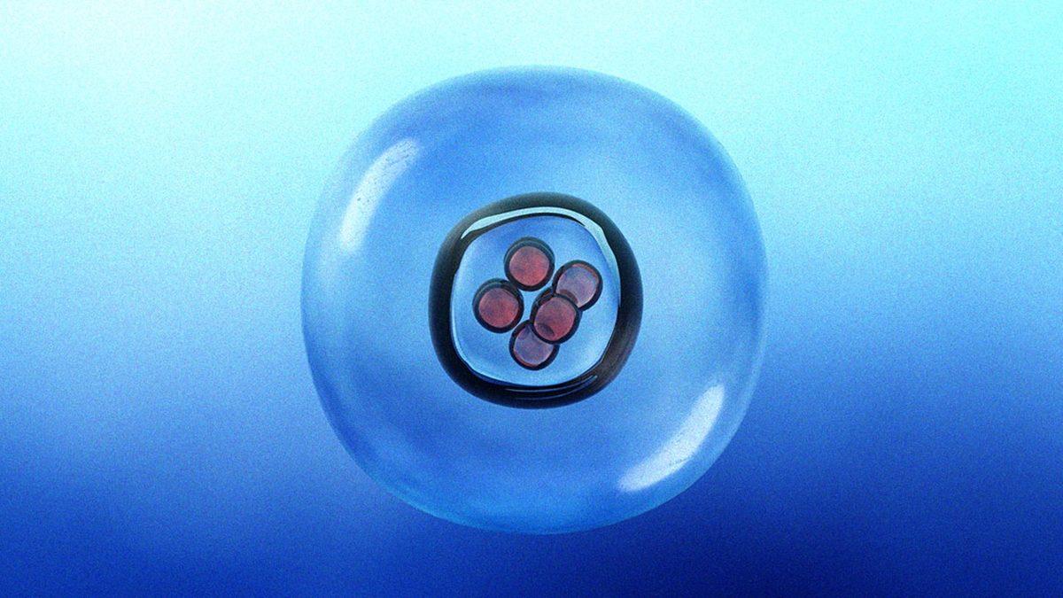 Yapay Rahimlerde Yetiştirilen Bebekler Acı Çektikleri Bir ’Araf’ın İçinde Olabilirler mi?