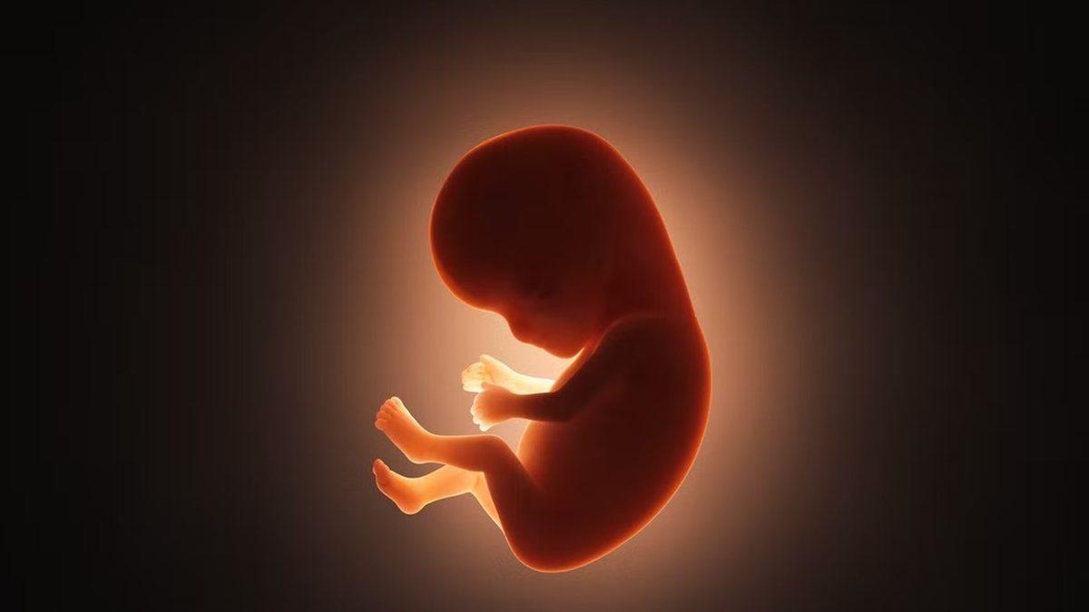 Yapay Rahimlerde Yetiştirilen Bebekler Acı Çektikleri Bir ’Araf’ın İçinde Olabilirler mi?