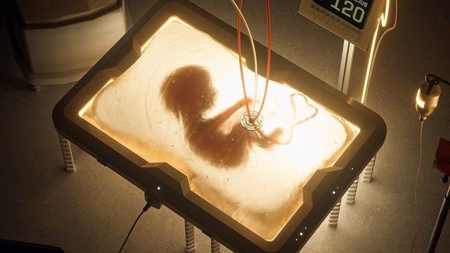 Yapay Rahimlerde Yetiştirilen Bebekler Acı Çektikleri Bir ’Araf’ın İçinde Olabilirler mi?