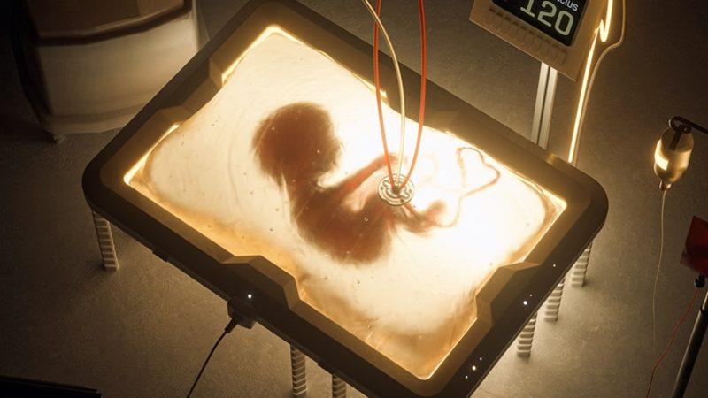 Yapay Rahimlerde Yetiştirilen Bebekler Acı Çektikleri Bir ’Araf’ın İçinde Olabilirler mi?