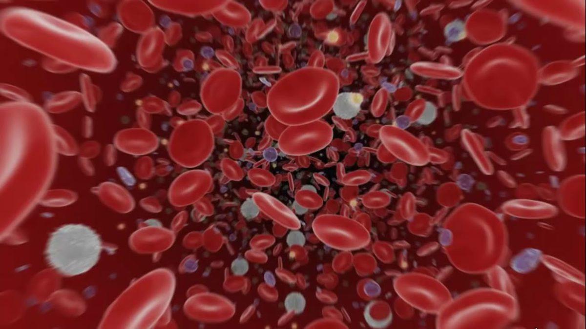 Aldığımız Oksijenin Tüm Vücuda Yayılmasını Sağlayan Hayati Öneme Sahip ’HCT’ Nedir, Düşüklüğü ve Yüksekliği Ne Anlama Gelir?