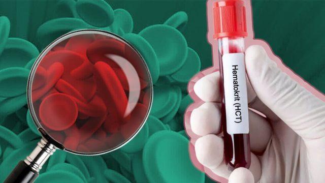 Aldığımız Oksijenin Tüm Vücuda Yayılmasını Sağlayan Hayati Öneme Sahip ’HCT’ Nedir, Düşüklüğü ve Yüksekliği Ne Anlama Gelir?