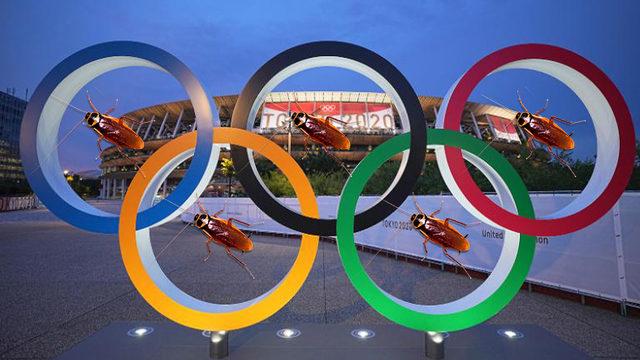 Olimpiyatlarda Canı Sıkılan Kameramanın Çektiği Böcek Viral Oldu [Video]