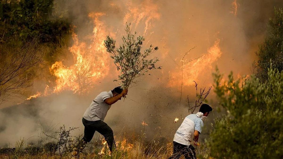 Instagram’da Türkiye’deki Yangınlar İçin Yapılan Bağış Kampanyası Gerçek Değil: İşte Nedenleri