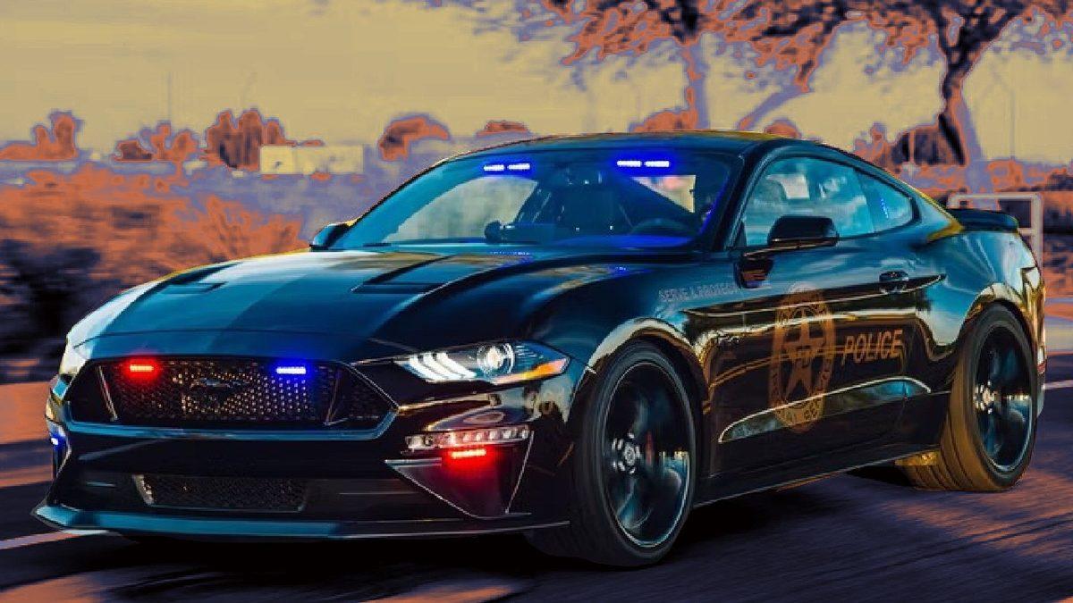 Görünce Tutuklanıp Merkeze Götürülmek İsteyeceğiniz Birbirinden Şahane Polis Arabaları