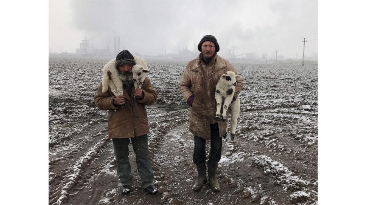 Her Biri Birbirinden Güzel 14. iPhone Fotoğrafçılık Ödülleri’nin Kazananları Açıklandı