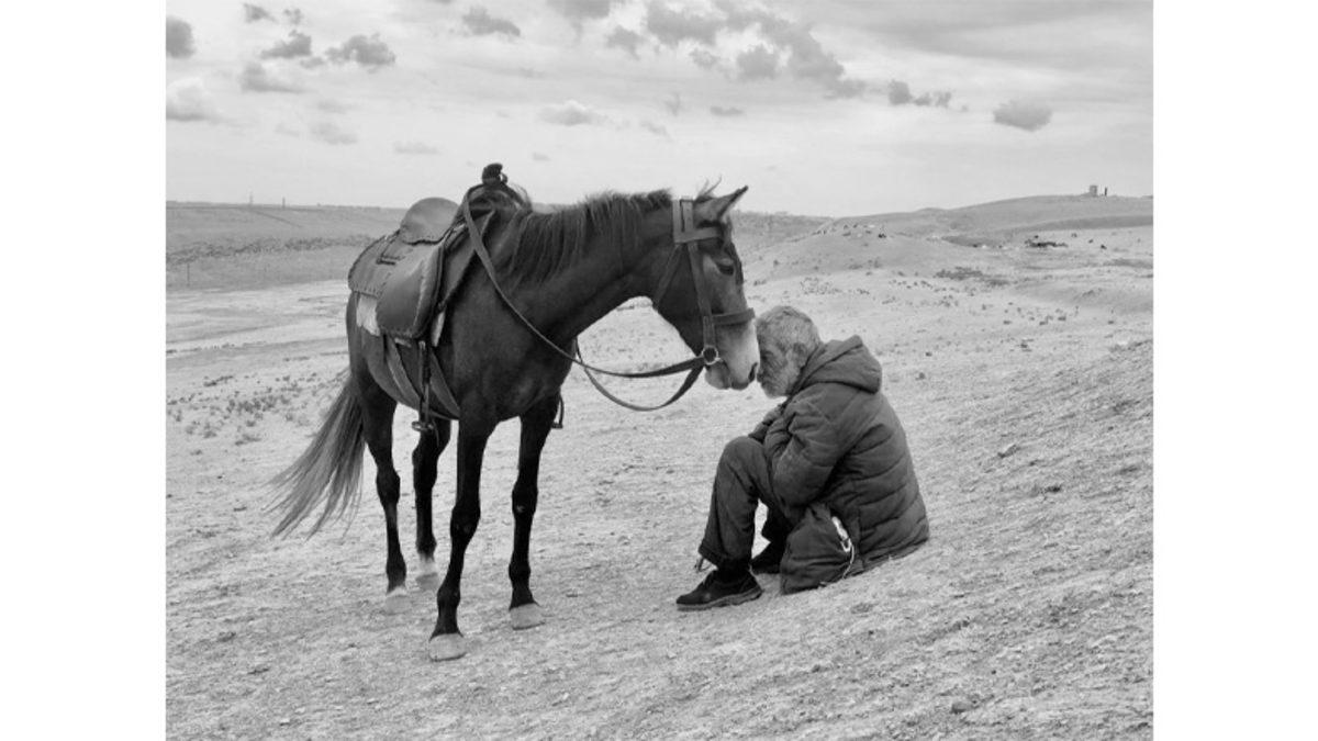 Her Biri Birbirinden Güzel 14. iPhone Fotoğrafçılık Ödülleri’nin Kazananları Açıklandı