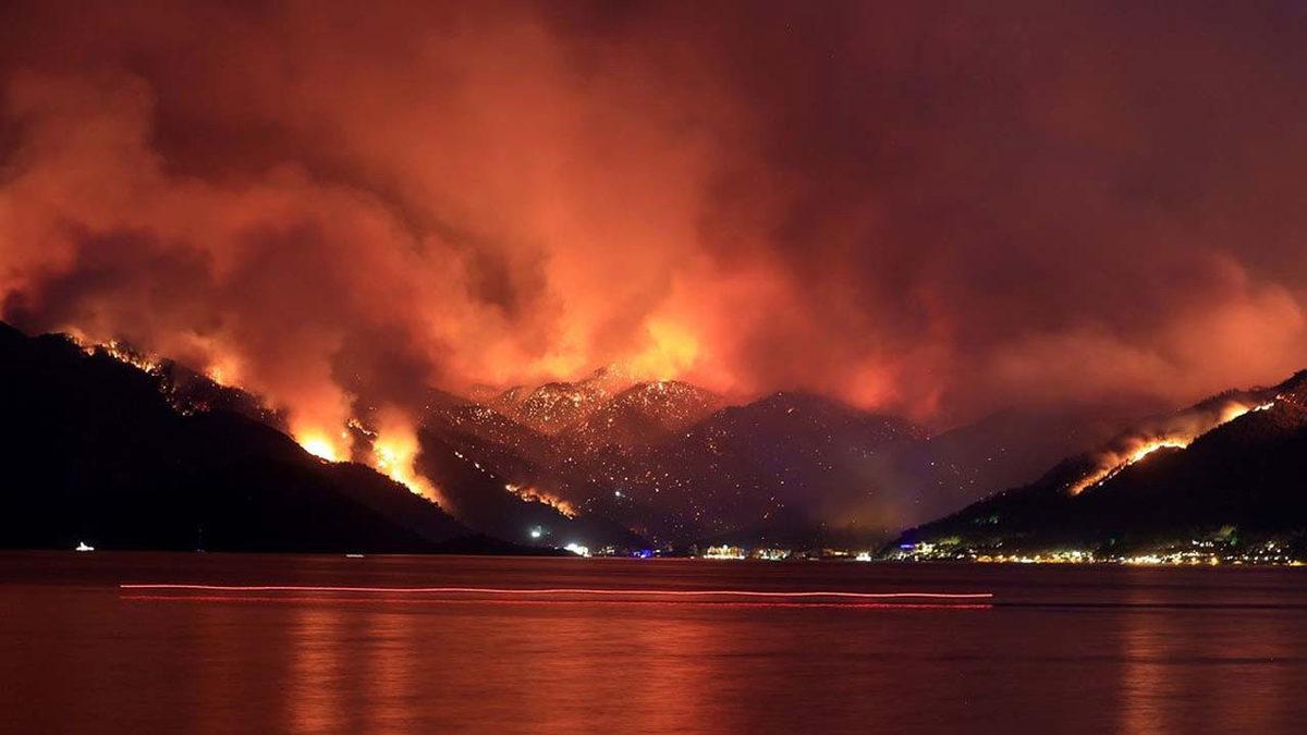Evet, Canımız Çok Yandı... Ama Artık Bilinçlenme Vakti: Peki Ne Yapmalı?
