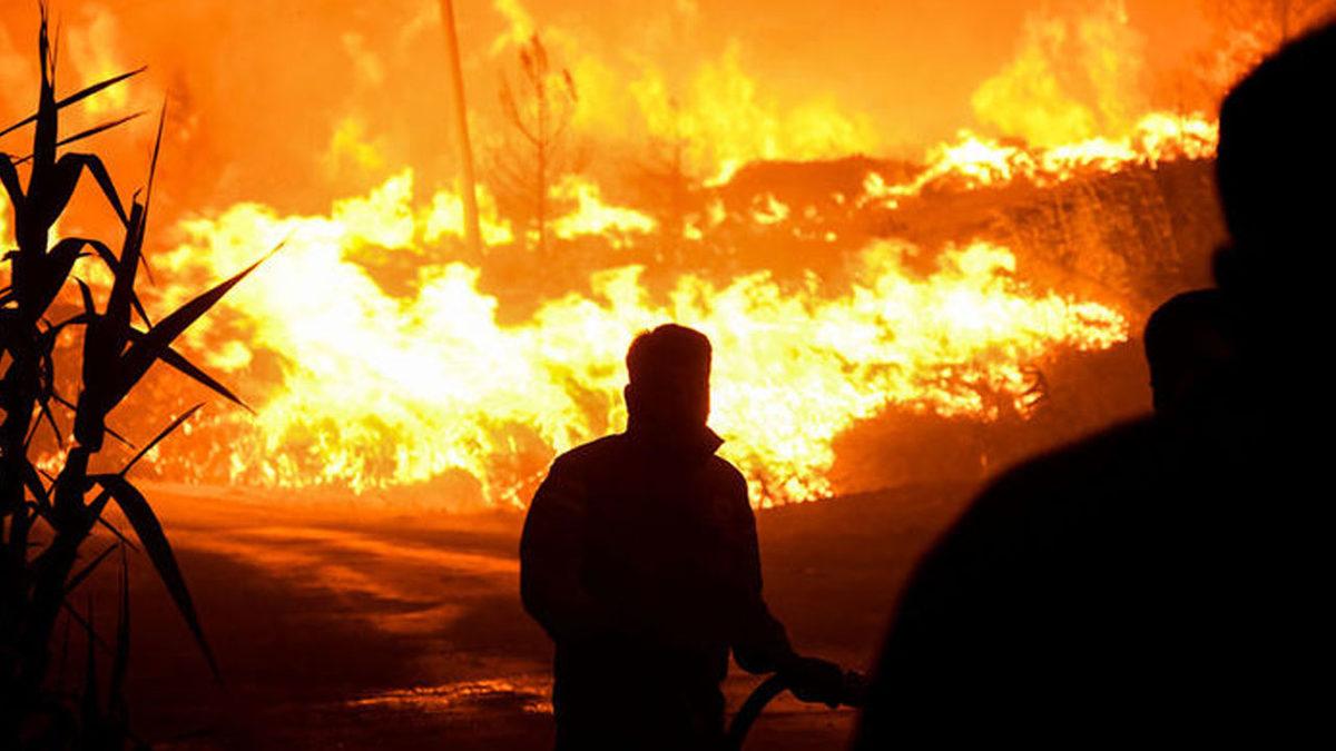 Evet, Canımız Çok Yandı... Ama Artık Bilinçlenme Vakti: Peki Ne Yapmalı?