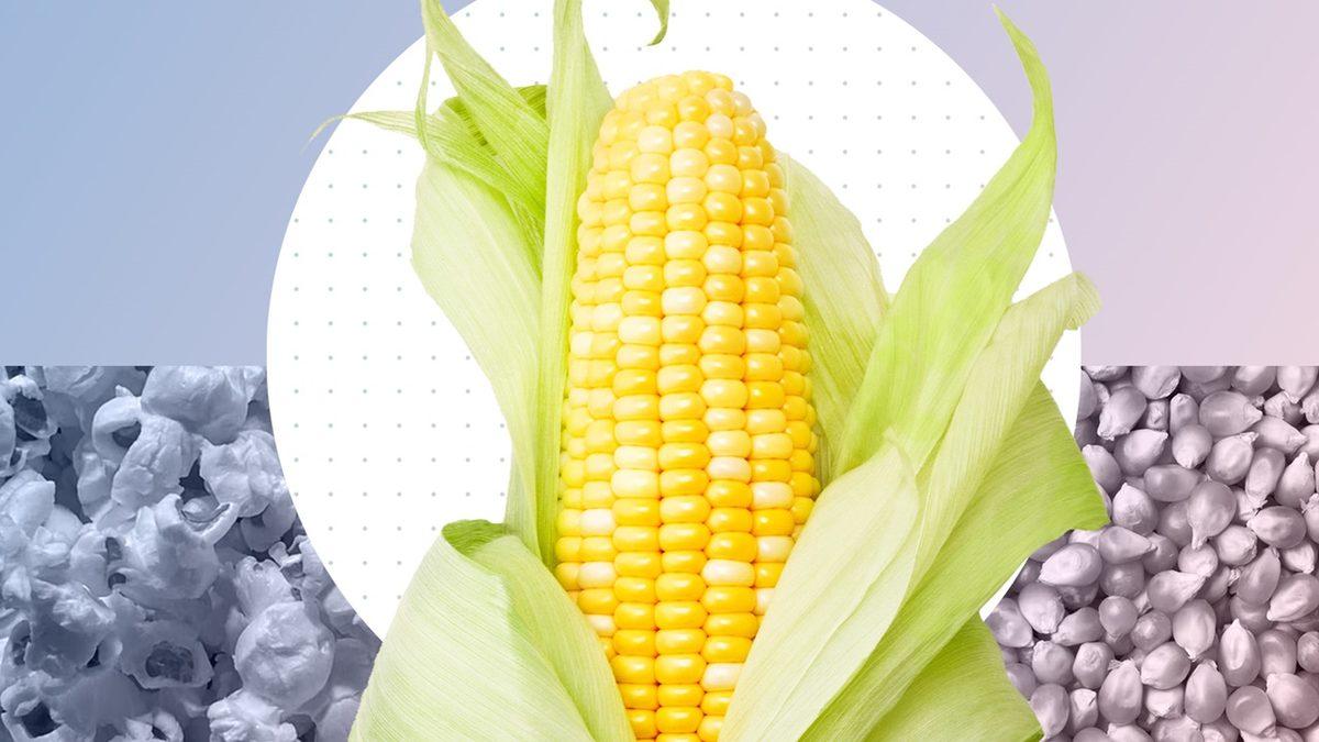 Tuvalette Görülen O Mısır Tanelerinin Bir Nedeni Var: Peki Sindirim Sistemimiz Nasıl Oluyor da Bu Besini Parçalayamıyor?