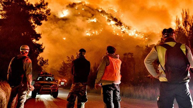 Evet, Canımız Çok Yandı...  Ama Artık Bilinçlenme Vakti: Peki Ne Yapmalı?