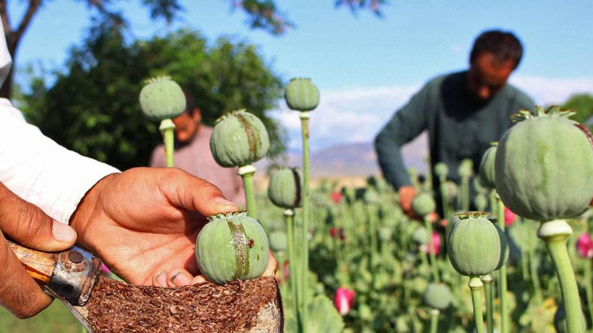 Sigara Akciğer Kanserini Önlüyormuş: Eskiden Şifa Niyetine Satılan 5 Sağlıksız Ürün