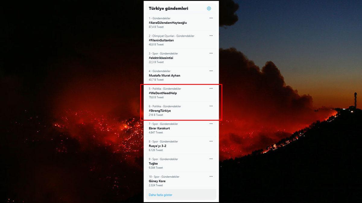 Türkiye’deki Yangınlar Nedeniyle Yapılan Global Yardım Çağrısına Karşıt Çağrılar Başladı: #StrongTürkiye ve #WeDontNeedHelp Etiketleri Gündemde