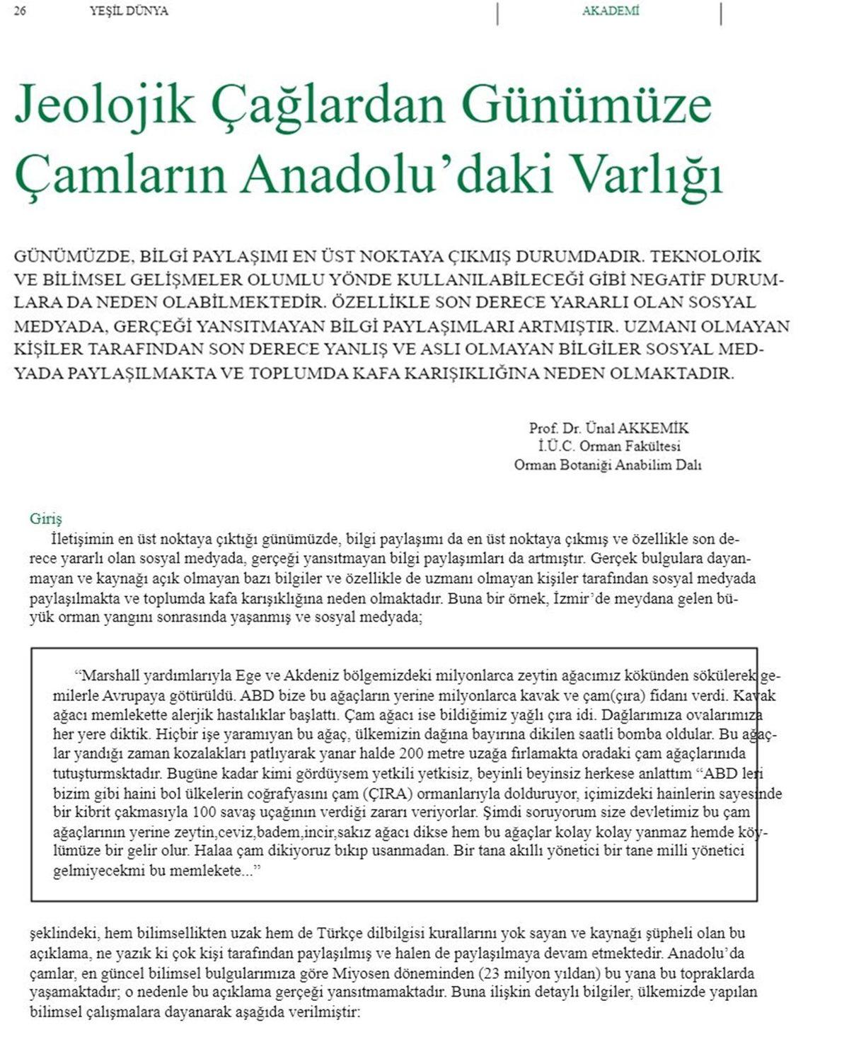 Komplo Teorisi: Kolay Yanan Çamları ABD, Türkiye’ye Özellikle mi Diktirdi?