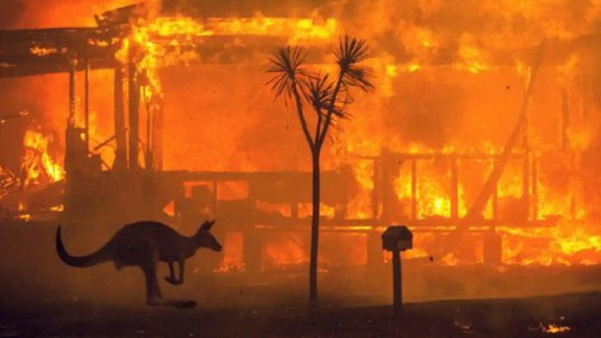 Türkiye’deki Yangınlar Nasıl Başladı, Sona Ermesi İçin Neye İhtiyaç Var?