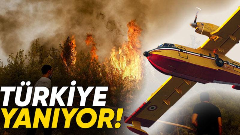 Türkiye’deki Yangınlar Nasıl Başladı, Sona Ermesi İçin Neye İhtiyaç Var?