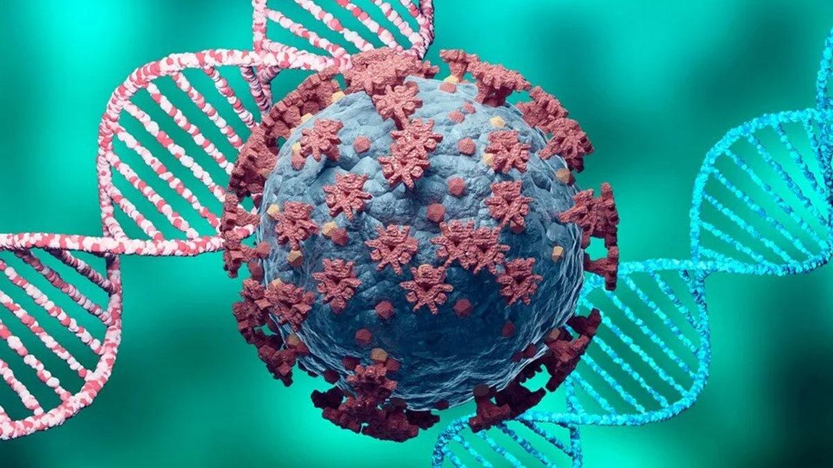 Koronavirüs Salgınının En Korkunç Senaryosu Açıklandı: Her 3 Kişiden 1’ini Öldürecek Kadar Ölümcül Varyant Ortaya Çıkabilir