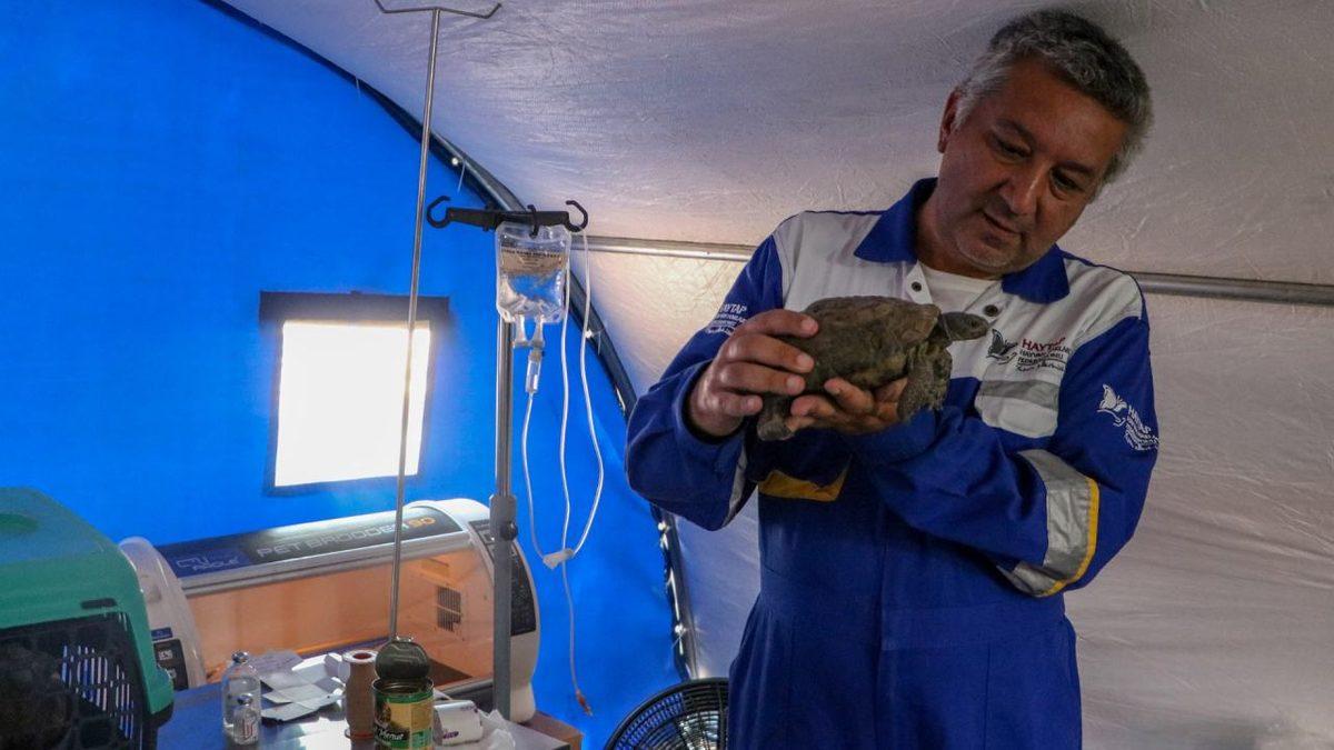 Dostlarımıza Yardım Eli: Manavgat’ta Türkiye’nin İlk Hayvanlara Özel Sahra Hastanesi Kuruldu