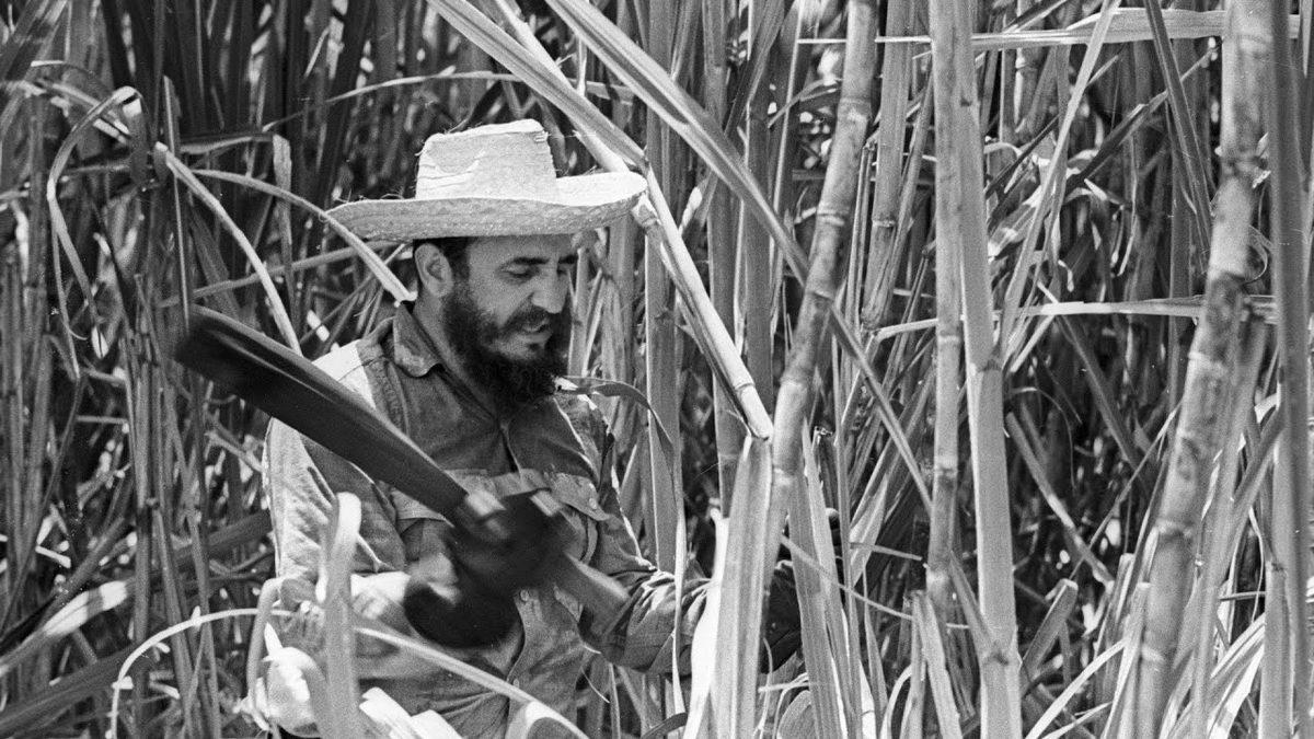 Devrimden Çok Daha Fazlası: Küba Hakkında Duyunca Şaşıracağınız İlginç Bilgiler