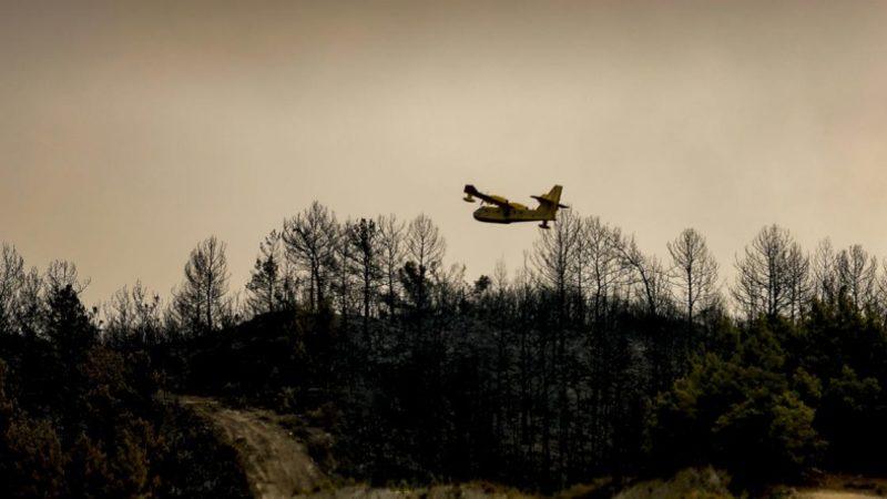 Orman Genel Müdür Yardımcısı: Bizim Hava Gücümüz İyi Ama Destek Vermek İsteyen Ülkeleri Kıramıyoruz