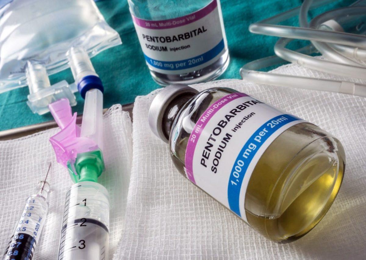 Antik Yunan ve Roma’nın Tartışmalı Mirası: Ötanazi Nedir, Hangi Ülkelerde Yasal?