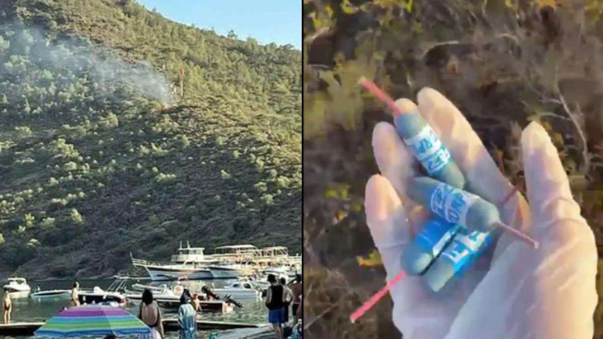 Datça’da Ağaçların Altına Yerleştirilmiş Kolay Bir Şekilde Yanabilecek Torpiller Bulundu