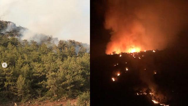Muğla’da Vatandaşların Gün Boyu Söndürmeye Çalıştıkları Küçük Bir Yangın, Bütün Tepeyi Sardı: Bir Tane Helikopter ve Uçak Müdahale Etmedi