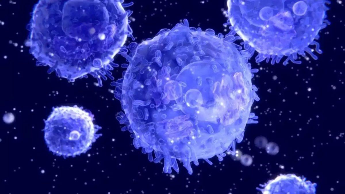 Ürettiği Antikorlar Sayesinde Vücudumuzu Koruyan Lenfosit Nedir, Düşüklüğü ve Yüksekliği Ne Anlama Gelir?