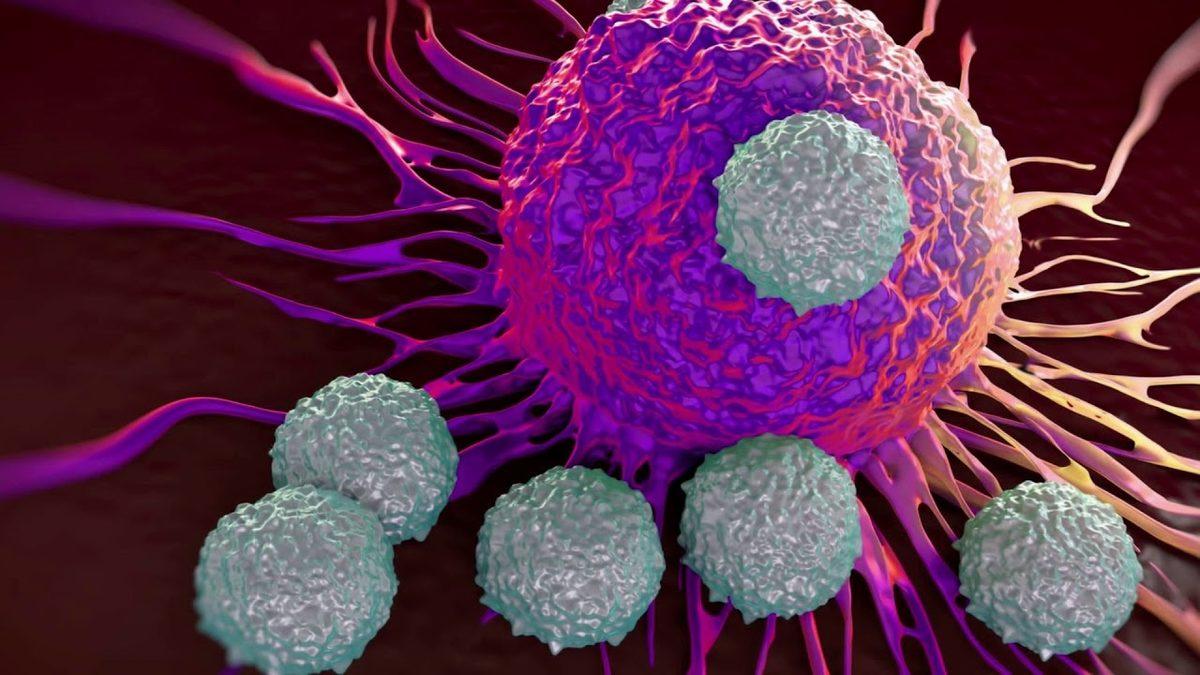 Ürettiği Antikorlar Sayesinde Vücudumuzu Koruyan Lenfosit Nedir, Düşüklüğü ve Yüksekliği Ne Anlama Gelir?