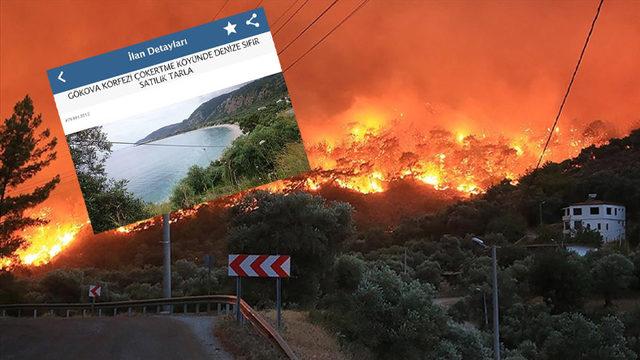 Yangının Vurduğu Muğla’da Satılık Arazi İlanları Patladı: Bazılarında ’İmara Açılacak’ Başlığı Gözüktü